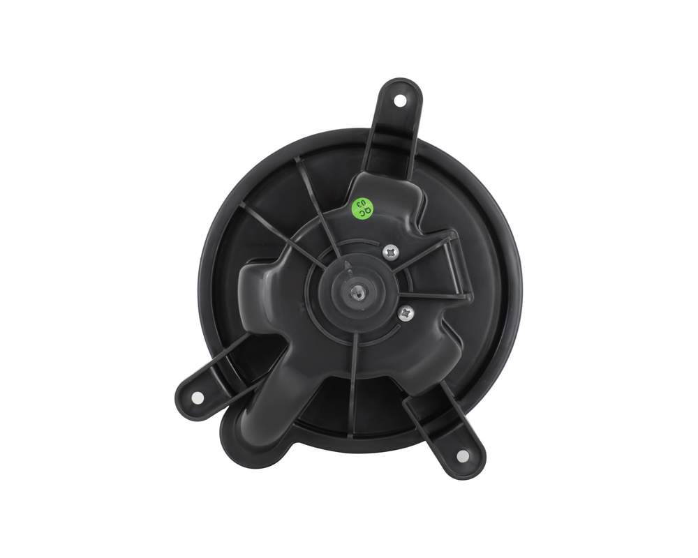 Blower Motor - 700095
