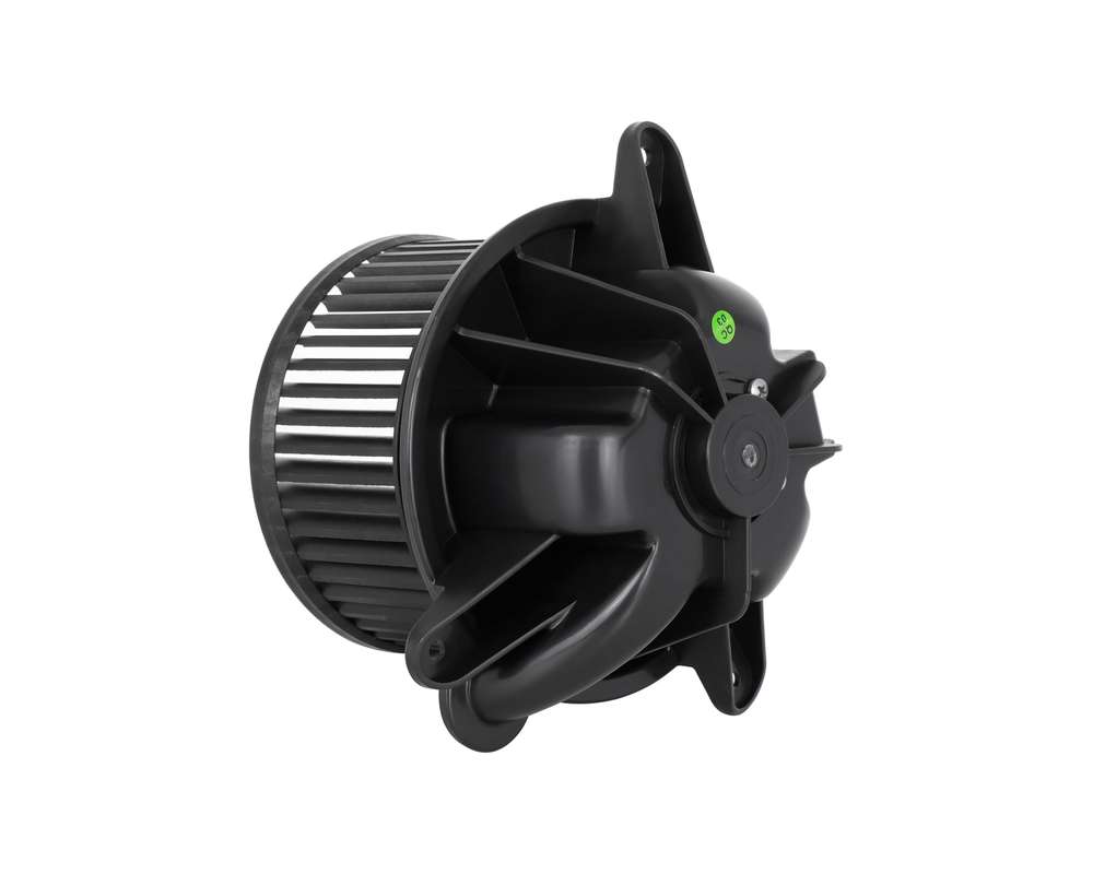 Blower Motor - 700095